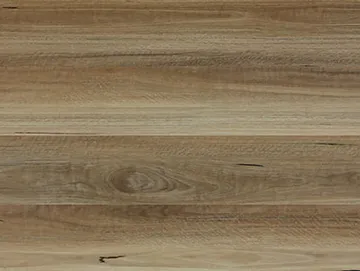 NSW Spotted Gum